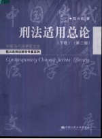 陈兴良刑法研究专著系列 刑法适用总论 下 第2版