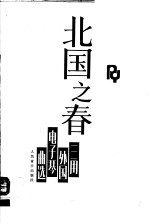 北国之春 三用外国电子琴曲选
