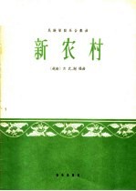 新农村 民族管弦乐合奏曲