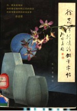 徐志摩抒情诗钢笔字帖