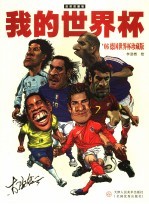 我的世界杯 2006德国世界杯珍藏版