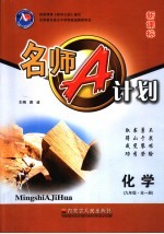 名师A计划 化学 九年级