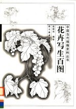 花卉写生百图