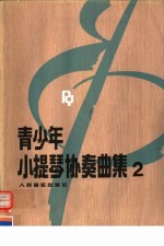 青少年小提琴协奏曲集 2