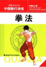 中国散打训练 拳法