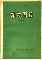 植物图解