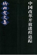 中国改革开放进程追踪 竹内实文集 第7卷