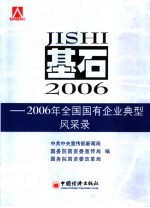 基石 2006年全国国有企业典型风采录