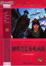 钢铁是怎样炼成的 青少版