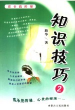 知识技巧 2