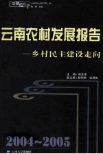 2004-2005云南农村发展报告 乡村民主建设走向