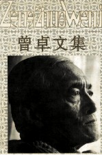 曾卓文集 第3卷 诗论