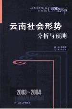 2003-2004云南社会形势分析与预测