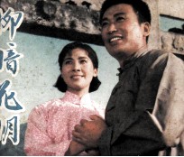 电影连环画册 柳暗花明