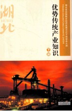 优势传统产业知识 下