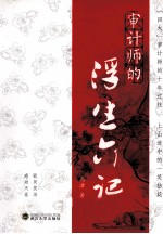 审计师的浮生六记