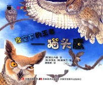 奇趣大自然 夜空下的王者 猫头鹰
