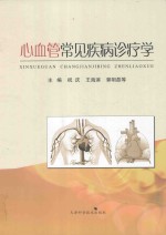心血管常见疾病诊疗学