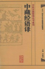 中医古籍整理丛书重刊 中藏经语译