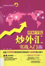 炒外汇实战入门 超值视频版