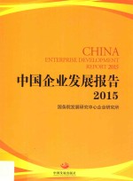 中国企业发展报告 2015