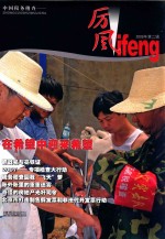 厉风 中国税务稽查 2008年 第3辑