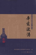 辛亥波涛:辛亥革命与四川保路运动100周年纪念文集