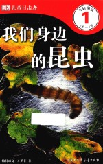 DK儿童目击者 第1级 我们身边的昆虫