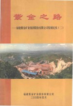 紫金之路 福建紫金矿业集团股份有限公司发展纪实 2