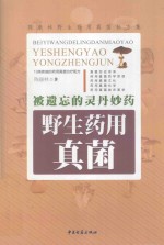 被遗忘的灵丹妙药 野生药用真菌