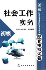 社会工作实务 初级