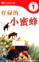 DK儿童目击者 第1级 忙碌的小蜜蜂