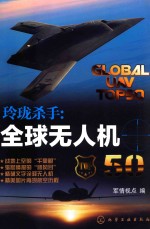 玲珑杀手 全球无人机50