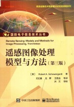 遥感图像处理模型与方法 第3版