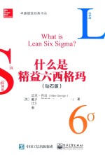 什么是精益六西格玛 钻石版