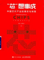 “芯”想事成 中国芯片产业的博弈与突围