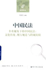 中国民法 多重视角下的中国民法 文化传统、现行规范与跨域比较