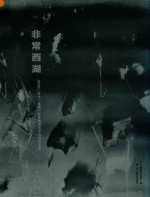 非常西湖 2016-2017 首届影像西湖艺术现场作品集