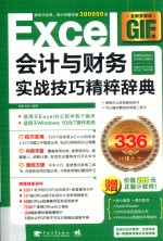 Excel会计与财务实战技巧精粹辞典 全新多媒体GIF版