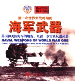 第一次世界大战时期的海军武器 英国和美国海军的舰炮、鱼雷、水雷及反潜反器