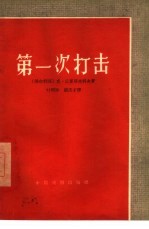 第一次打击 五幕话剧