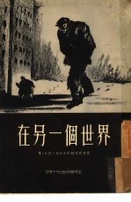 在另一面世界里
