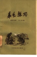 电影文学剧本 暴风骤雨