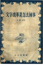 文字改革是怎么回事