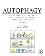 Autophagy cancer
