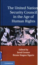 The United Nations Security Council in the Age of Human Rights