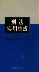 刑法实用集成 上