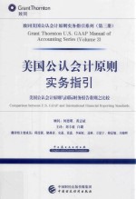 美国公认会计原则实务指引 美国公认会计原则与国际财务报告准则之比较 中英文对照