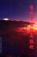 坚持下去就是胜利 华中四分区凤阳山地区敌后斗争史料汇编