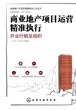 商业地产项目运营精准执行 开业行销及组织